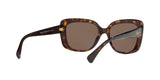 500373 - Shiny Dark Havana - Brown