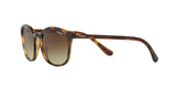 W65613 - Havana - Brown Gradient