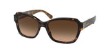 Coach L1010 8232 Sunglasses