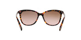 146114 - Pink - Brown Rose Gradient