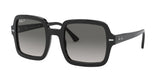 Ray Ban 2188F Sunglasses