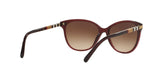 301413 - Bordeaux - Brown Gradient