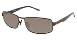 Champion CU6001 Sunglasses