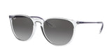 Ray Ban Erika 4171 Sunglasses