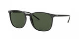 Ray Ban 4387 Sunglasses