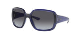 Ray Ban Powderhorn 4347 Sunglasses