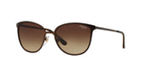 934S13 - Brown - Brown Gradient