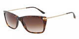 Giorgio Armani 8019 Sunglasses