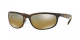 Ray Ban 4265 Sunglasses