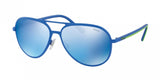 Polo 3102 Sunglasses