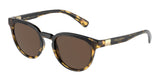 Dolce & Gabbana 6148 Sunglasses