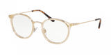 Polo 2201 Eyeglasses