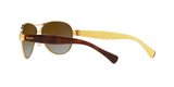 106/T5 - Gold - Brown Gradient Polarized