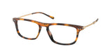 Polo 2231 Eyeglasses