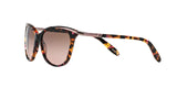 146114 - Pink - Brown Rose Gradient