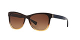 1444T5 - Brown - Brown Gradient Polarized