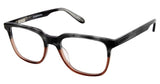 Cremieux CCB0 Eyeglasses