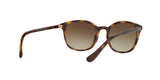W65613 - Havana - Brown Gradient