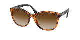 Ralph 5279 Sunglasses