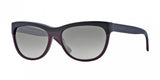 Burberry 4176 Sunglasses