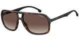 Carrera 8035 Sunglasses