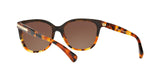 5438T5 - Havana - Brown Gradient Polar