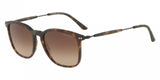 Giorgio Armani 8098 Sunglasses