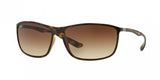 Ray Ban 4231 Sunglasses