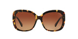 5324T5 - Havana - Brown Gradient Polar