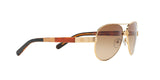 420/13 - Havana - Brown Gradient