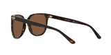 137883 - Havana - Brown Solid Polarized