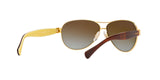 106/T5 - Gold - Brown Gradient Polarized