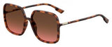 Dior Stellaire1 Sunglasses