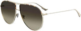 Dior Diormonsieur1 Sunglasses