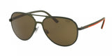 Polo 3102 Sunglasses