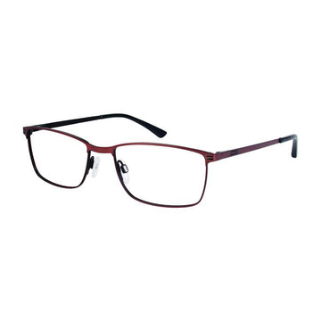 Aristar AR18649 Eyeglasses