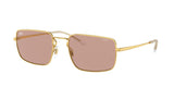 Ray Ban 3669 Sunglasses