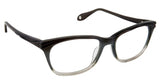 Fysh F3627 Eyeglasses