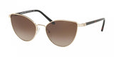 Michael Kors Arrowhead 1052 Sunglasses