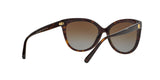 3006T5 - Havana - Brown Gradient Polarized