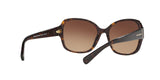 512013 - Dark Tortoise - Brown Gradient