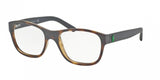 Polo 2116 Eyeglasses