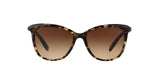 146213 - Brown - Dark Brown Gradient