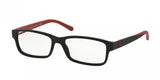 Polo 2132 Eyeglasses