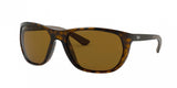 Ray Ban 4307 Sunglasses