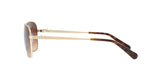 932213 - Light Gold - Brown Gradient