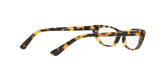 2605 - Brown Yellow Tortoise
