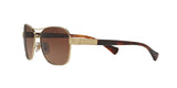 3211T5 - Gold - Brown Gradient Polarized