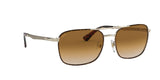 107551 - Havana - Clear Gradient Brown