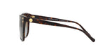 3006T5 - Havana - Brown Gradient Polarized